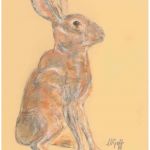 Hare Sketch | Pastel pencils - SOLD