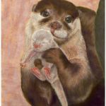 Otter and baby | Commission - SOLD