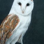Owl | Pastels | SOLD Mounted and framed in chestnut coloured wood  - £175