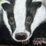 Badger | Pastels | Commission - SOLD