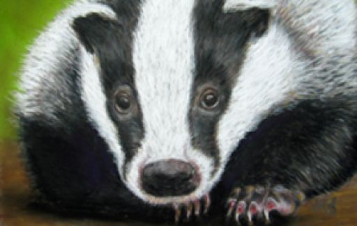 Badger | Pastels | Commission by Lesley Goff