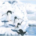 Playful Penguins - Acrylics - SOLD