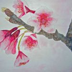 SOLD - Apple blossom | Media: Watercolour | Mounted size 12x16 | White/cream double chamfered mount with beige inside trim |