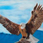 Bald Eagle | Pastels |