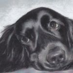 Where's my cuddles! framed | pastels -