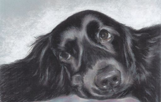 Black Lab Pastel Where's My Cuddles! Pastels by Lesley Goff £125