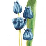 Blue tulips | Media: Watercolour | SOLD