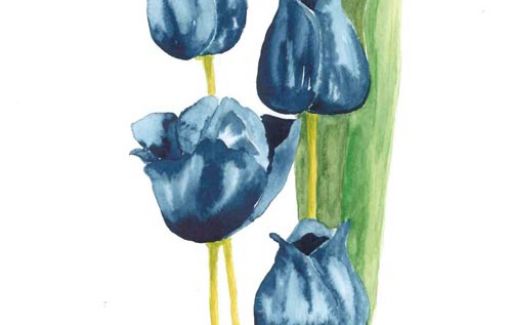 Blue Tulips SOLD  by Lesley Goff