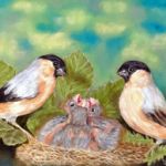 Work in progress - Bullfinch Heaven - pastels