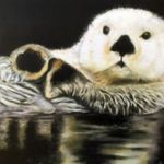 Sea Otter | Pastels | framed -