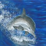 Dolphin | Acrylics