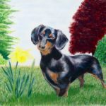 Dachshund in the grass | Commission - SOLD