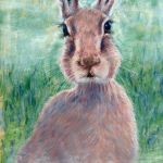 Harry Hare! | Media: Pastels | SOLD