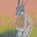 Hare in the grass | Pastels | mounted and framed -