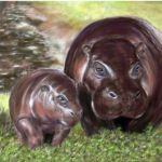 Pygmy Hippos | Commission -SOLD