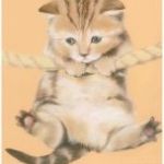 Kitten - Pastels -