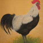 Large Norfolk Grey | Pastels | Painting size approx. A3 -