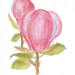 Magnolia buds | Media: Watercolour |  Mounted size 12x16 | White/cream double chamfered mount with green inside trim |