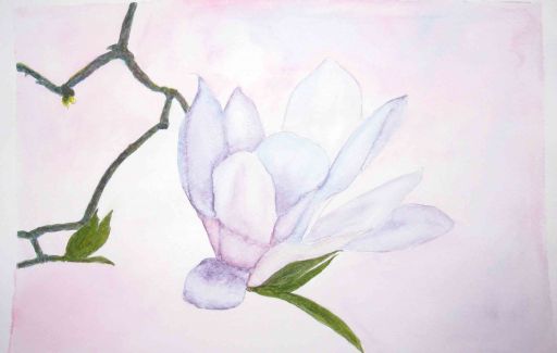 Magnolia flower £75  by Lesley Goff