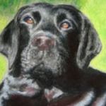 Molly - Commission by Lesley Goff - SOLD