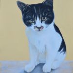 Nat's Cat - commission | Pastels - SOLD