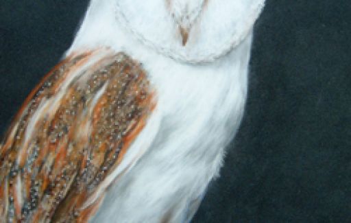 Barn owl - Pastels £130 by Lesley Goff