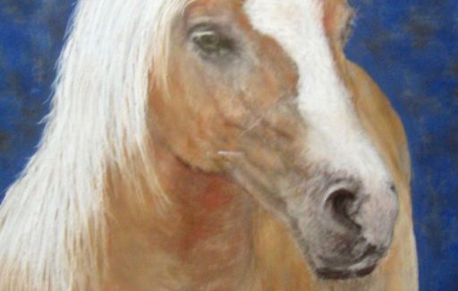 Palomino - Pastels £175 by Lesley Goff