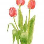 Red Tulips | SOLD