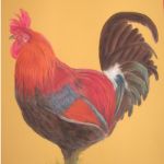 Sicilian Golden Duckwing | Pastels | Painting size approx. A3  -