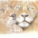 Snuggle Pussies | Pastels -SOLD