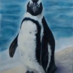 South African Penguin | Pastels |