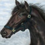 SOLD - Thoroughbred | Media: pastel | Triple mounted with inset black trim | Medium wood frame with gold inner trim |