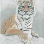 Tiger | Pastels