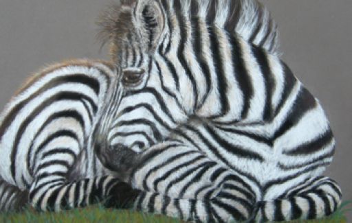 Zebra - Pastels £195 by Lesley Goff