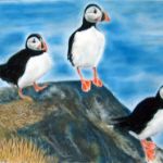 Puffins Craigleath Scotland | Pastels |